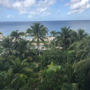 Meet your Posher, Cailyn